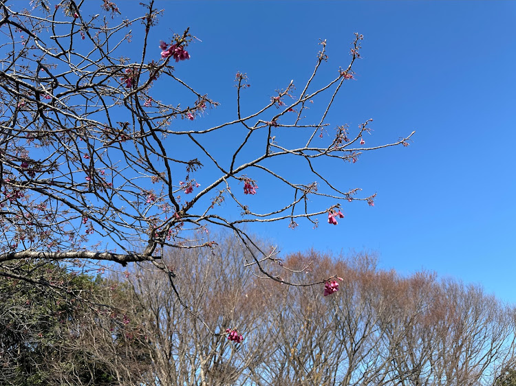 の投稿画像3枚目