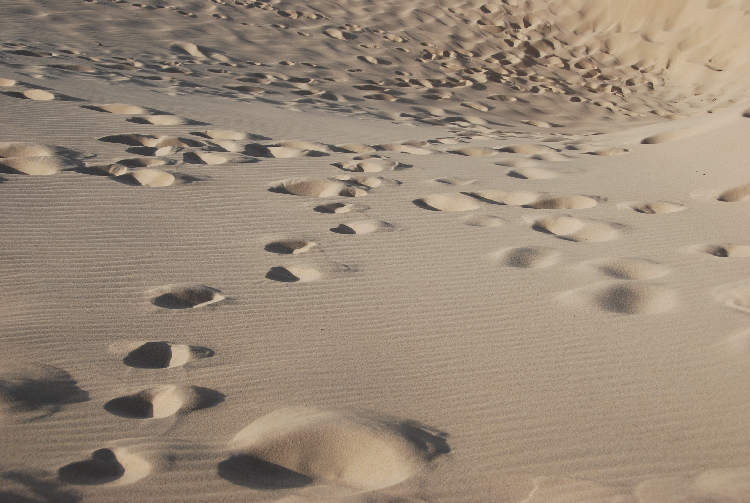 dune di bumbum