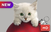 Kitten Popular Animals HD New Tabs Theme small promo image