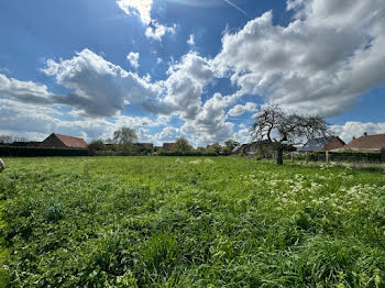 maison neuve à Bavinchove (59)