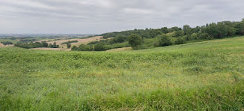 terrain à Cox (31)