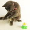 miniatures image - 1