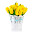 Flowers New Tab