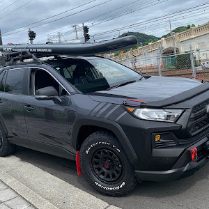 RAV4 MXAA54