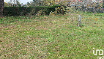 terrain à Juigné-Sur-Loire (49)