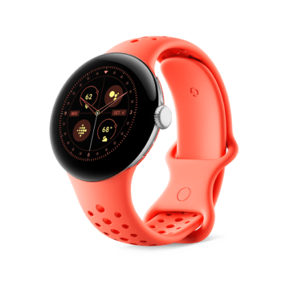 Google Pixel Watch アクティブ バンドの詳細