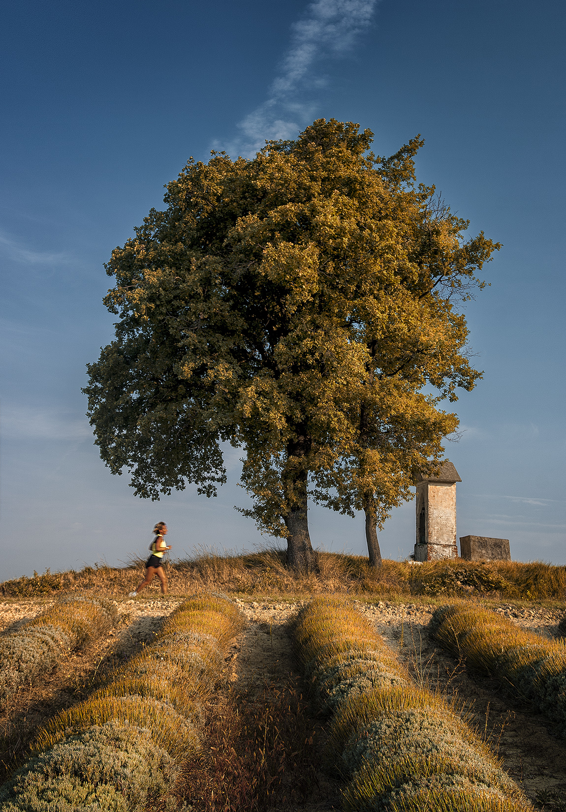 In armonia con la natura di Livius