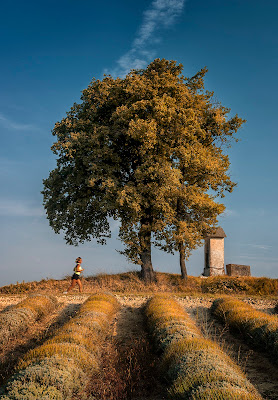 In armonia con la natura di Livius