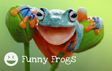 Funny Frogs New Tab small promo image