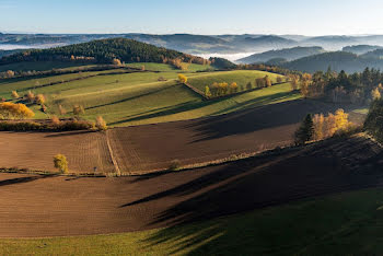 terrain à Pouilley-les-Vignes (25)