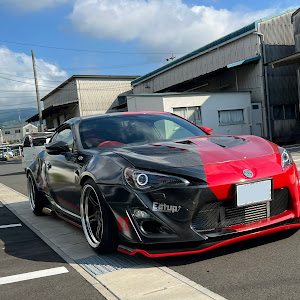 86 ZN6
