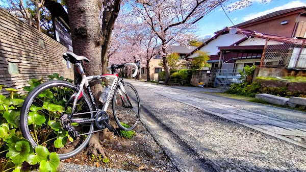 ポキオ輪業商会 AUTOGLYM SUPER RESIN POLISH Campagnolo Zonda ハブ ガタ