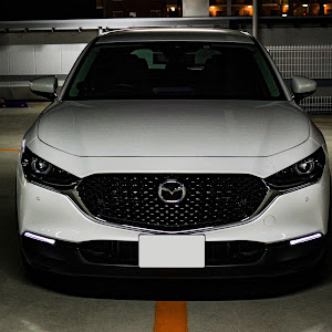 CX-30 DMEP