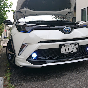 C-HR ZYX10