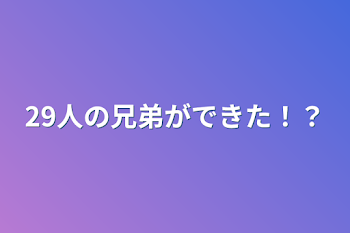 29人の兄弟ができた！？