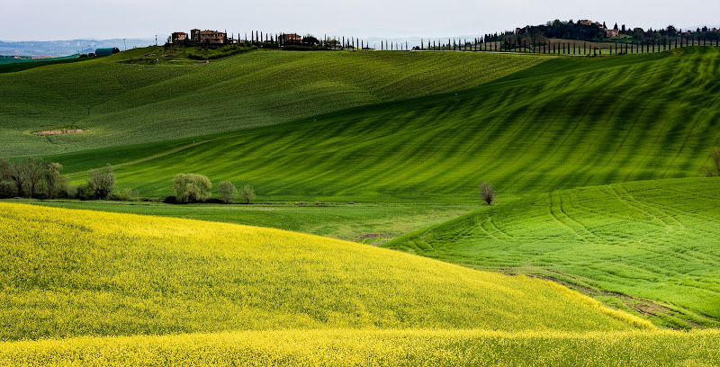 La Val  D'orcia  di Fiore Doncovio