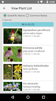 Minnesota Wildflower Search Screenshot