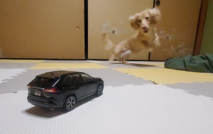 RAV4のRAV4・ミニRAV4PHV・愛犬に関するカスタム事例の投稿画像4枚目