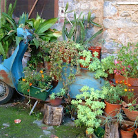 Tutte in Vespa di 