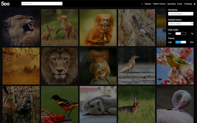 500px New Tab Preview image 3