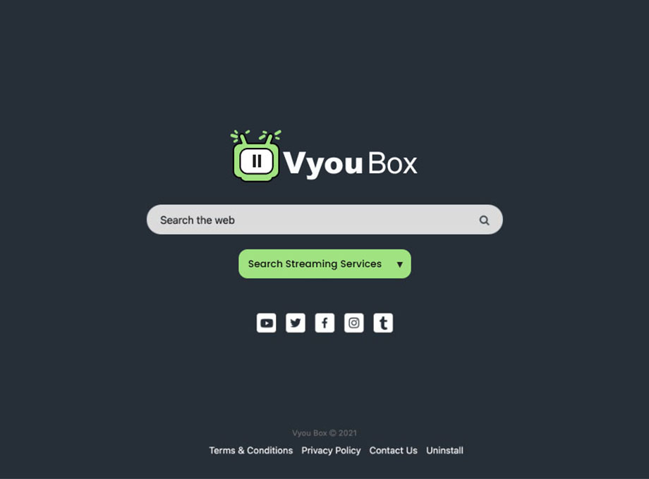 Vyou Box Preview image 1