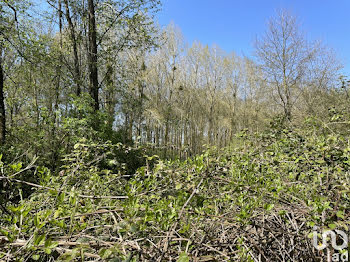 terrain à Brévainville (41)