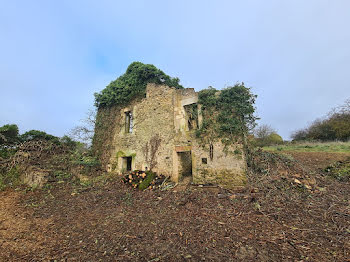 terrain à Avallon (89)