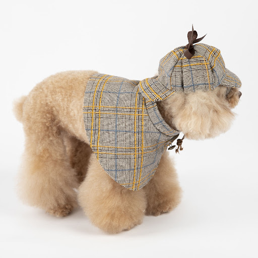 Title 7, Cute Personalized Cloak Spring And Autumn Pet C...