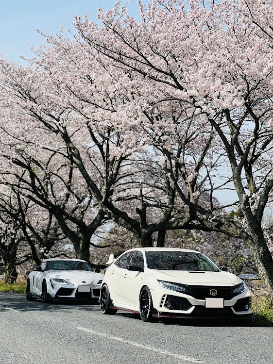 スープラの桜とコラボ・サクラと愛車・桜・目指せPickUpCars・ドライブに関するカスタム事例の投稿画像2枚目