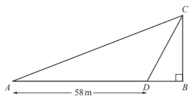 The sine rule