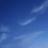 ユーザー