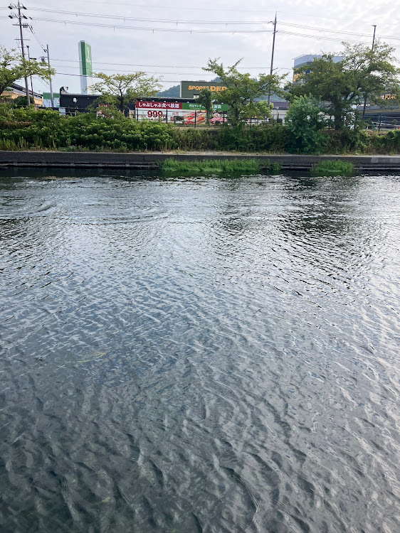 レガシィツーリングワゴンのドライブに関するカスタム事例の投稿画像22枚目