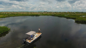 Florida Black Panther thumbnail