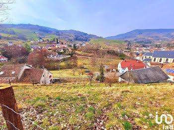 terrain à Lapoutroie (68)