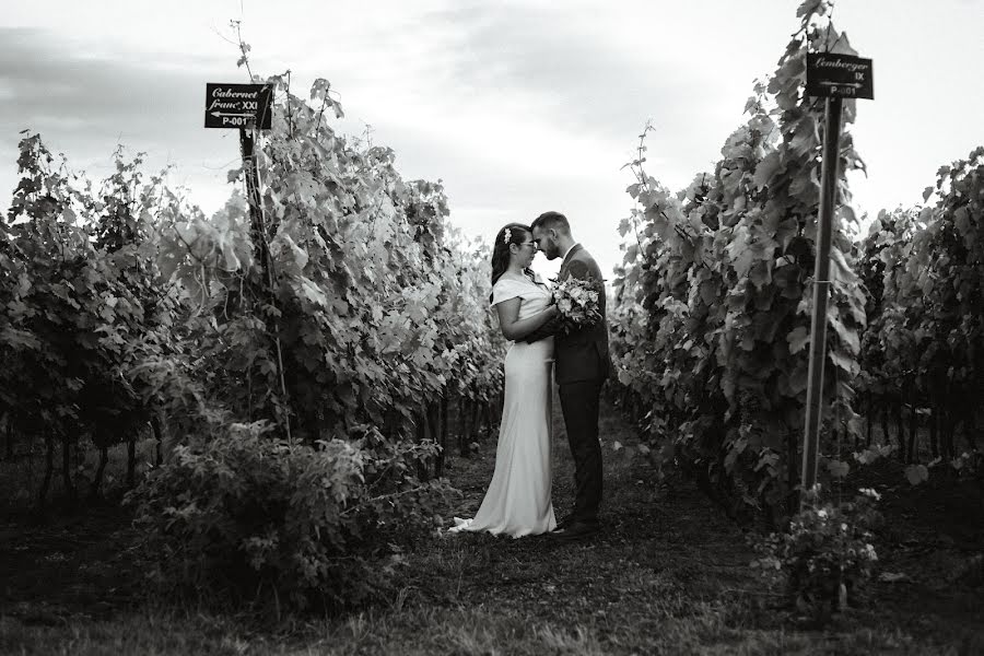 Fotógrafo de bodas Ivan Ostojic (ivanostojic). Foto del 26 de junio 2022