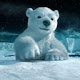 Polar Bear Wallpaper New Tab Theme