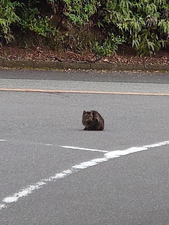 の投稿画像8枚目