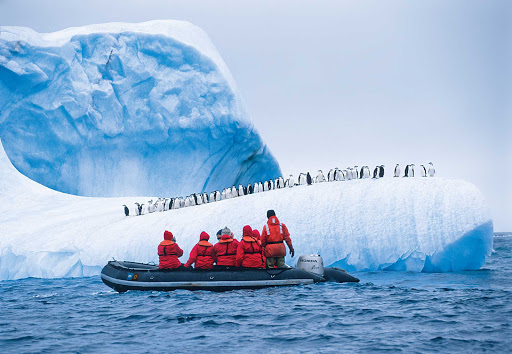 Lindblad-Expeditions-Antarctica-Penguins.jpg - Penguins line up, single file, along the edge of the ice in Antarctica to watch travelers on a Lindblad Expeditions tour. 