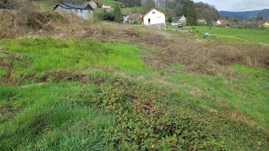 Vente terrain  4728 m² à Le Val-d'Ajol (88340), 50 000 €