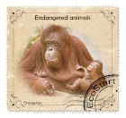"Stamp" with an orangutan