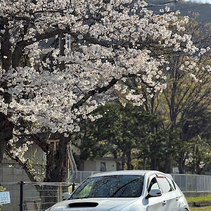 インプレッサ WRX STI GRF