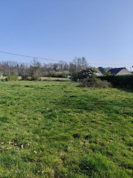 Vente terrain  993 m² à Denguin (64230), 66 000 €