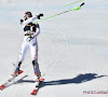 Coupe du monde de ski alpin : Petra Vlhova remporte le slalom géant
