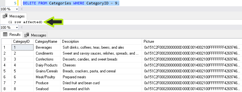 Instrucción Delete en SQL Server