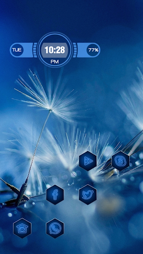 Blue White dandelion theme