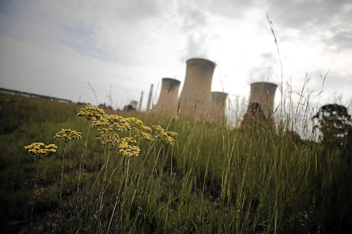 The Hendrina power station near Middelburg in Mpumalanga.