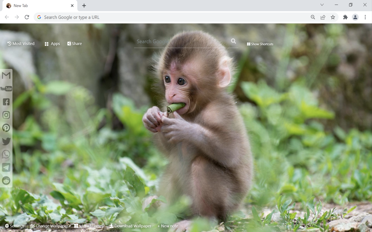 Monkey Wallpaper HD New Tab Preview image 1