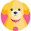 Cute Puppy Wallpapers New Tab