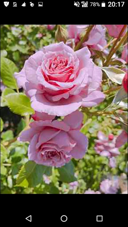 「謎の部屋パターン3」のメインビジュアル