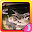 Escape Crocky Download on Windows